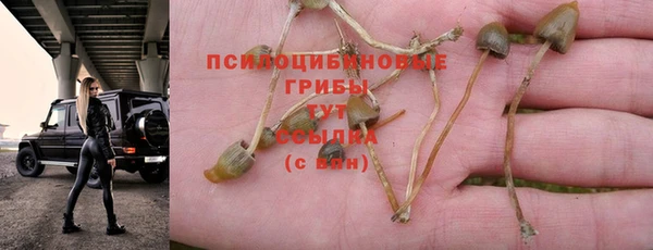 кристаллы Вязьма
