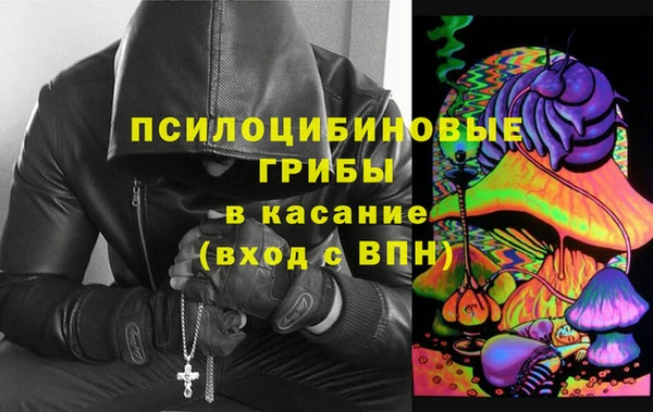 скорость Вяземский