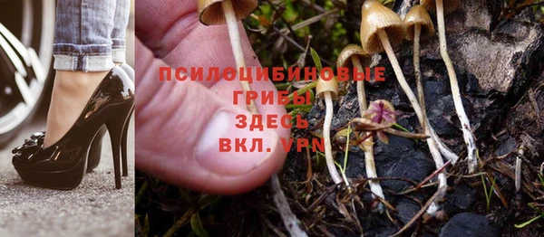 прущий лед Волоколамск
