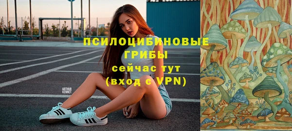сатива Володарск